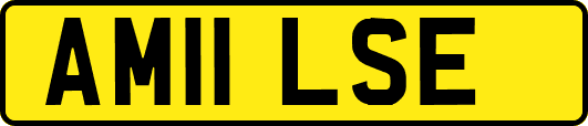 AM11LSE