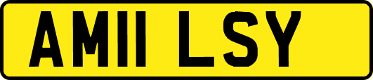 AM11LSY