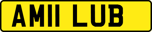 AM11LUB