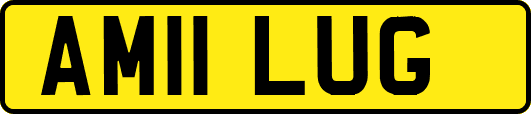 AM11LUG