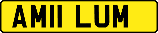 AM11LUM