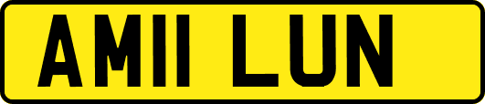 AM11LUN