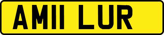 AM11LUR