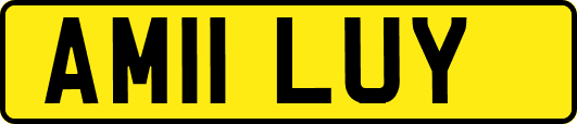 AM11LUY