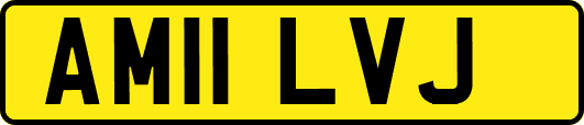 AM11LVJ