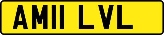 AM11LVL