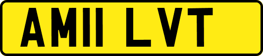 AM11LVT