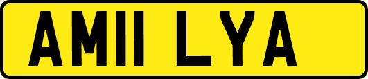 AM11LYA