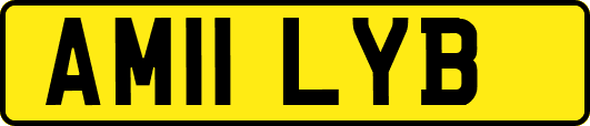 AM11LYB