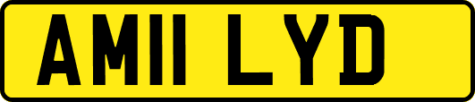 AM11LYD