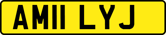 AM11LYJ