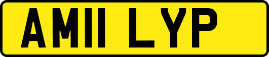 AM11LYP
