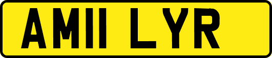 AM11LYR