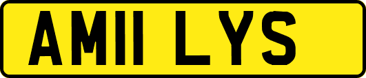 AM11LYS