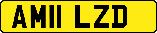 AM11LZD