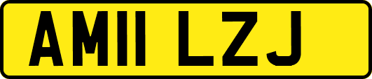 AM11LZJ
