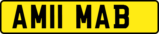 AM11MAB