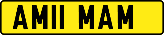 AM11MAM