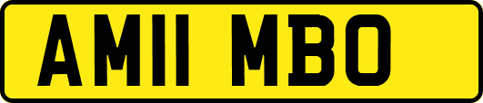 AM11MBO