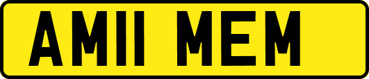 AM11MEM