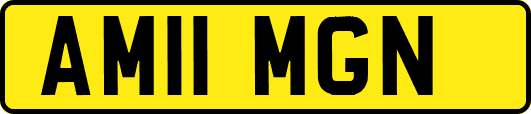 AM11MGN