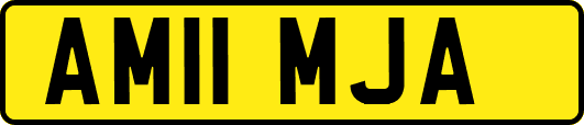 AM11MJA