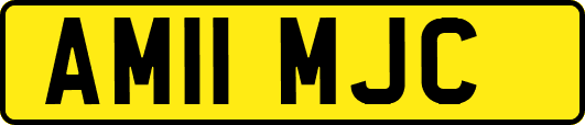 AM11MJC