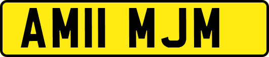 AM11MJM