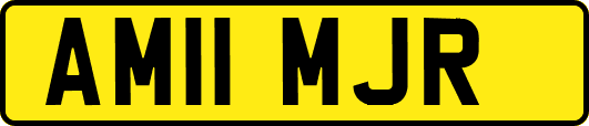 AM11MJR