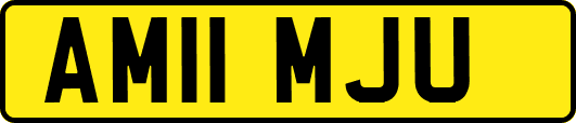 AM11MJU