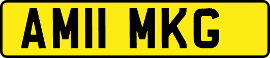 AM11MKG