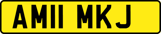 AM11MKJ