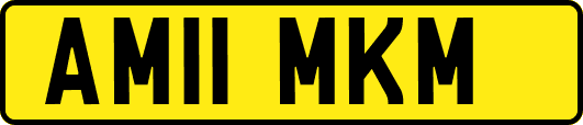 AM11MKM