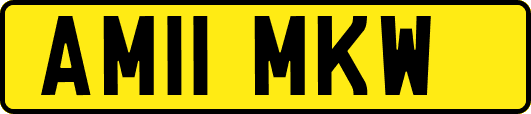 AM11MKW