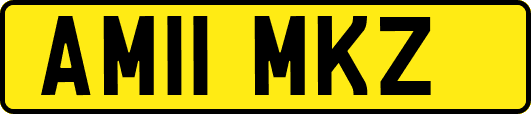 AM11MKZ