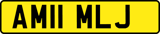 AM11MLJ