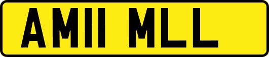 AM11MLL