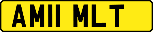 AM11MLT