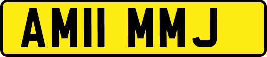 AM11MMJ