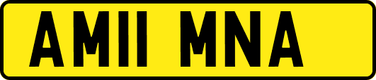 AM11MNA