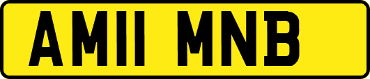 AM11MNB