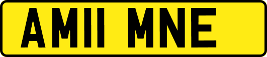 AM11MNE