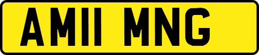 AM11MNG