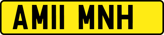 AM11MNH