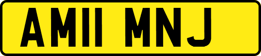 AM11MNJ
