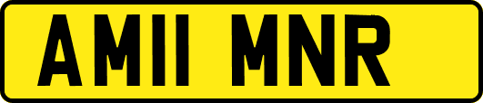 AM11MNR
