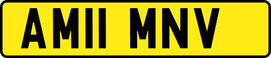 AM11MNV
