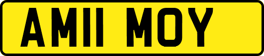AM11MOY
