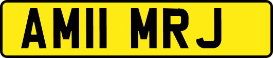AM11MRJ