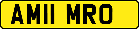 AM11MRO